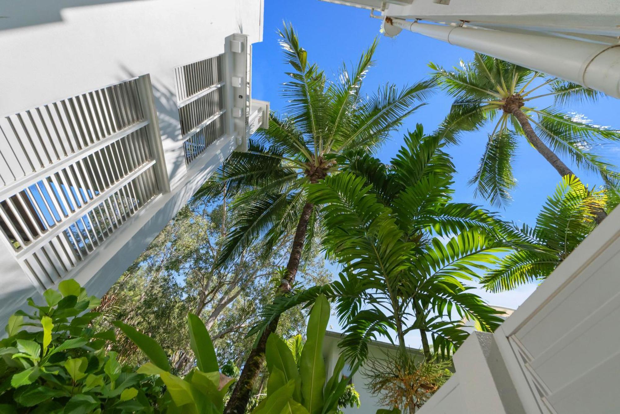 פאלם קוב Elysium Private Apartments At Beach Club & Spa מראה חיצוני תמונה